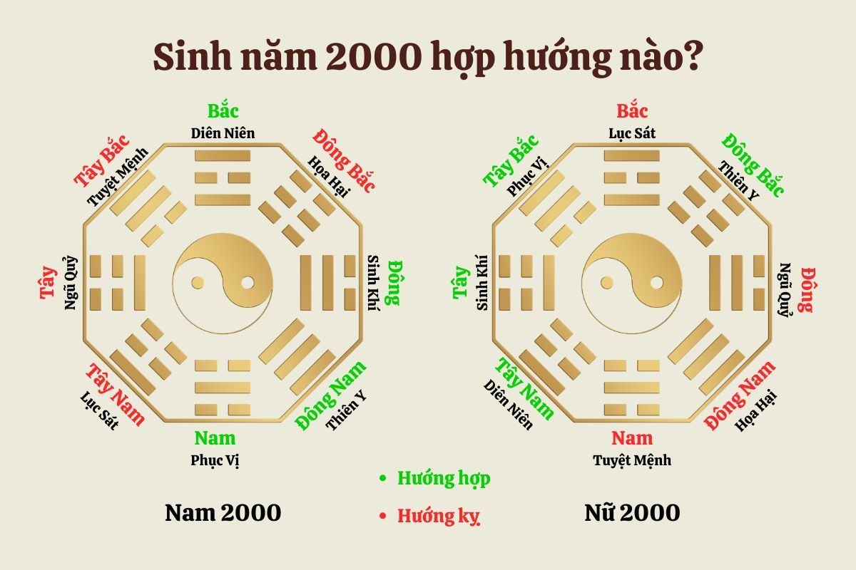 Hướng hợp và kỵ của Nhâm Thìn 2000
