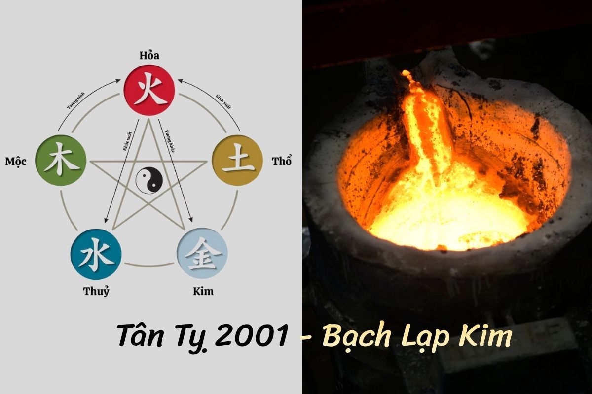 Sinh năm 2001 mang mệnh Bạch Lạp Kim