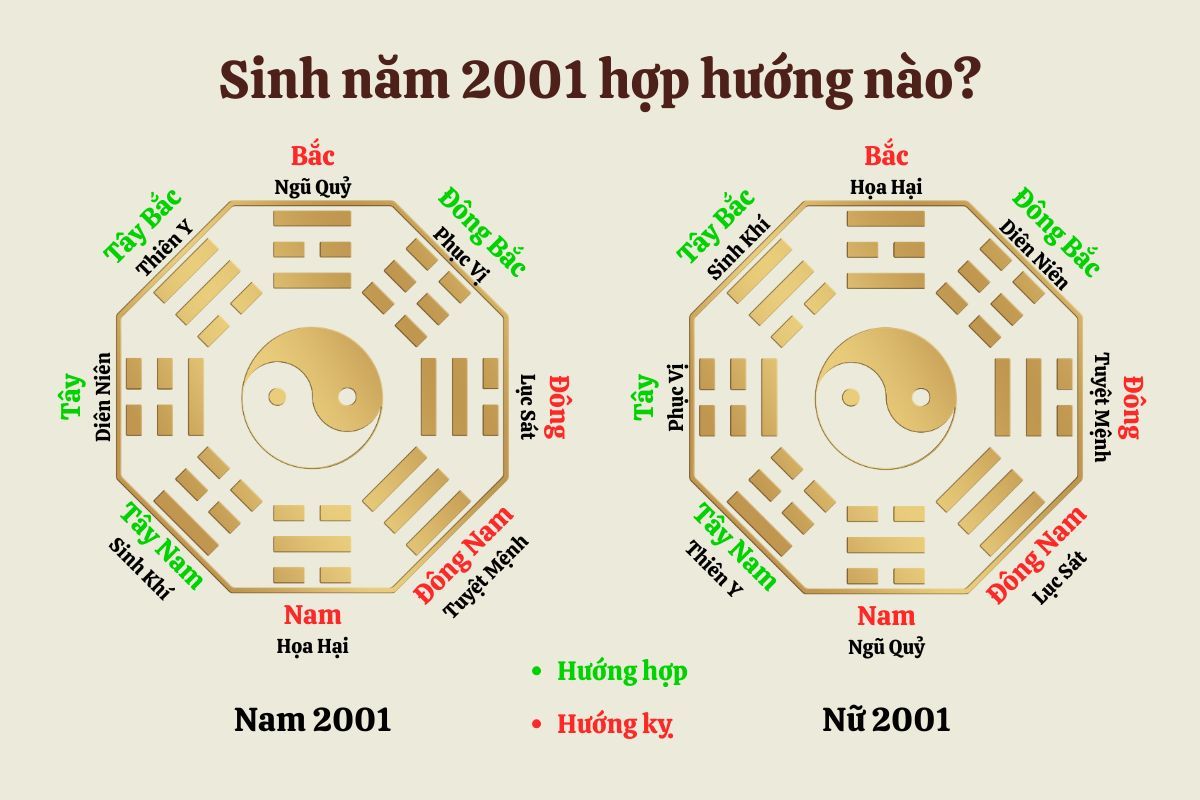 Tân Tỵ 2001 hợp và kỵ với hướng nào