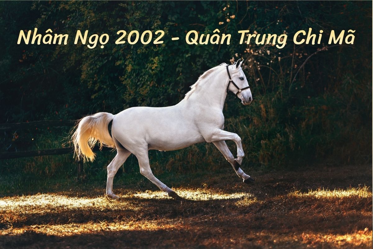 Sinh năm 2002 tuổi Nhâm Ngọ, Quân Trung Chi Mã