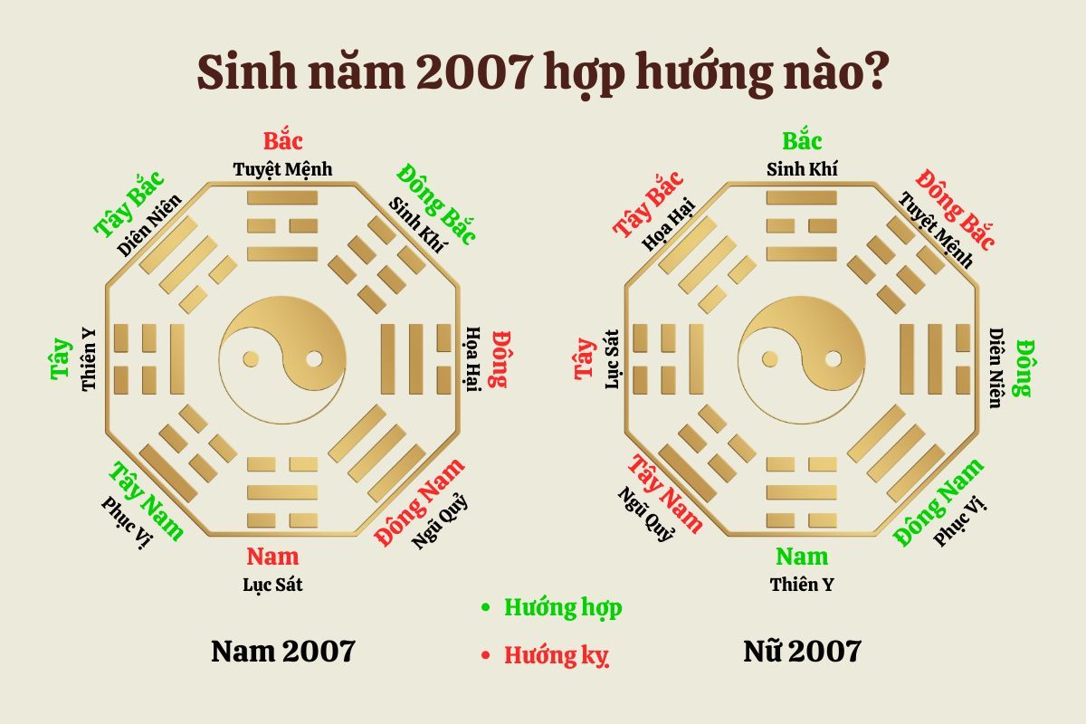 Đinh Hợi 2007 hợp và kỵ với hướng nào