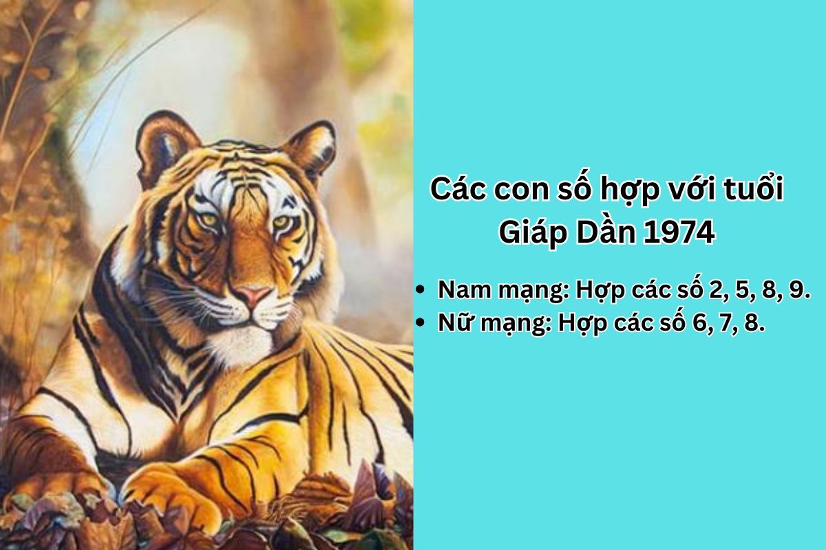 số phù hợp với nam mạng và nữ mạng