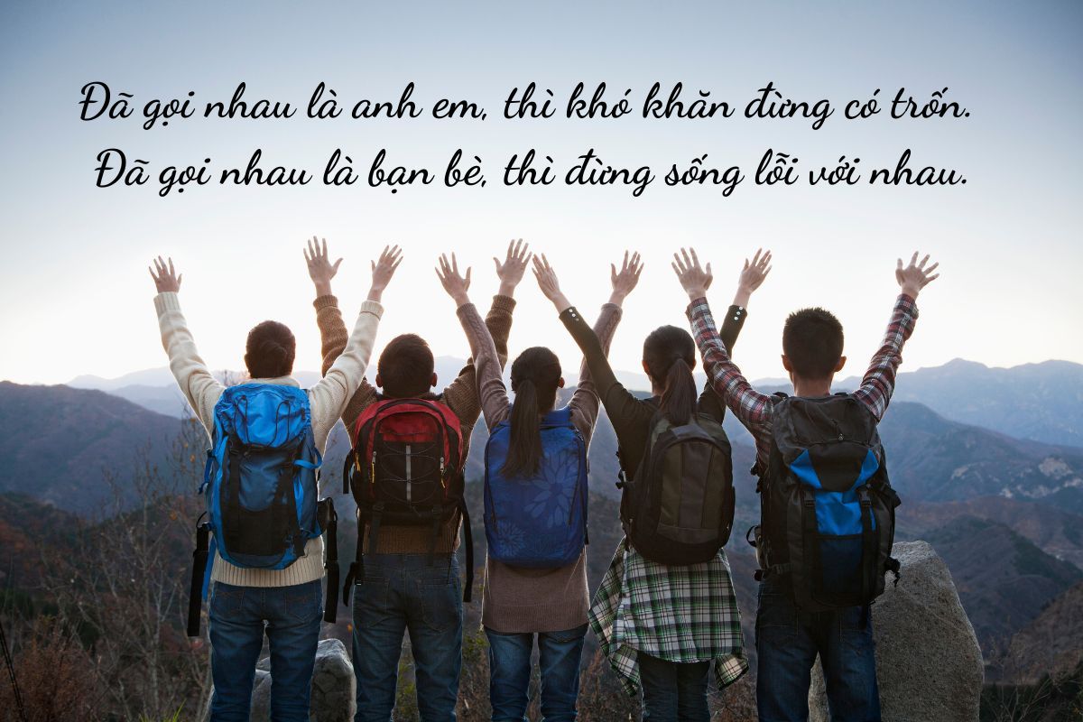 stt chất hay về tình bạn