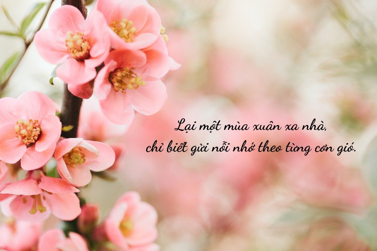 stt chào mùa xuân