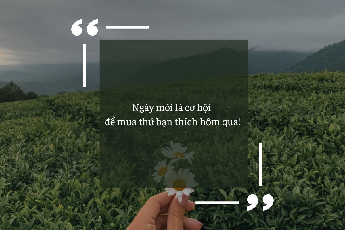 stt chào ngày mới vui