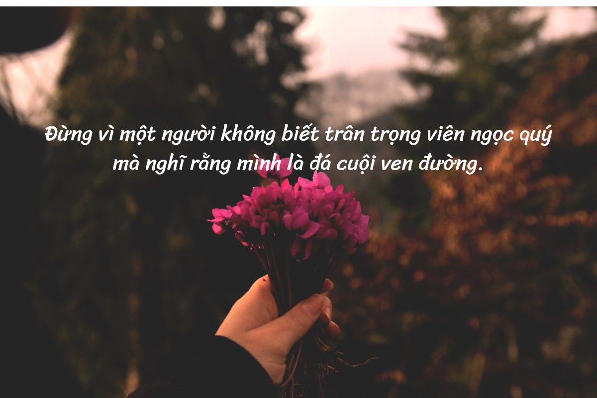 stt chữa lành tâm hồn