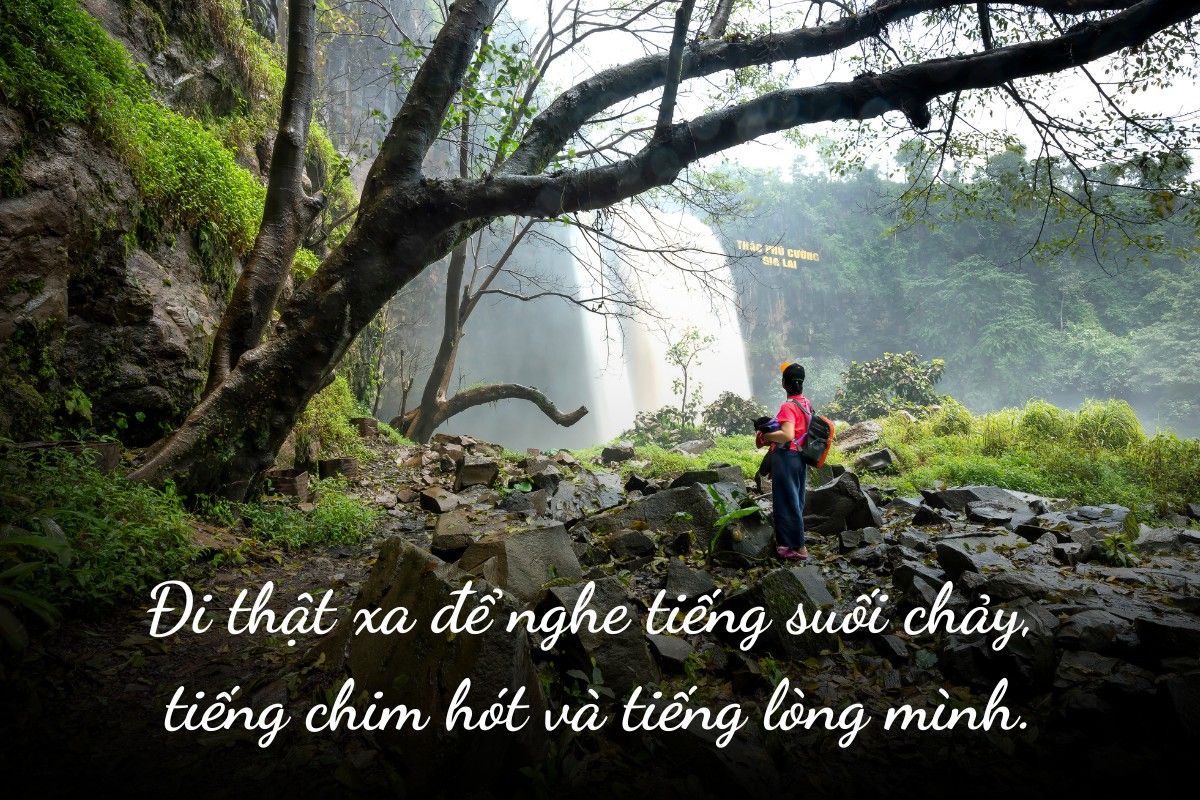 stt hay khi đi du lịch