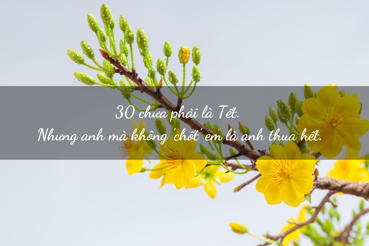 stt thả thính tết, các dịp lễ 