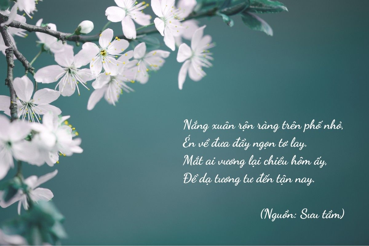 stt mùa xuân hay