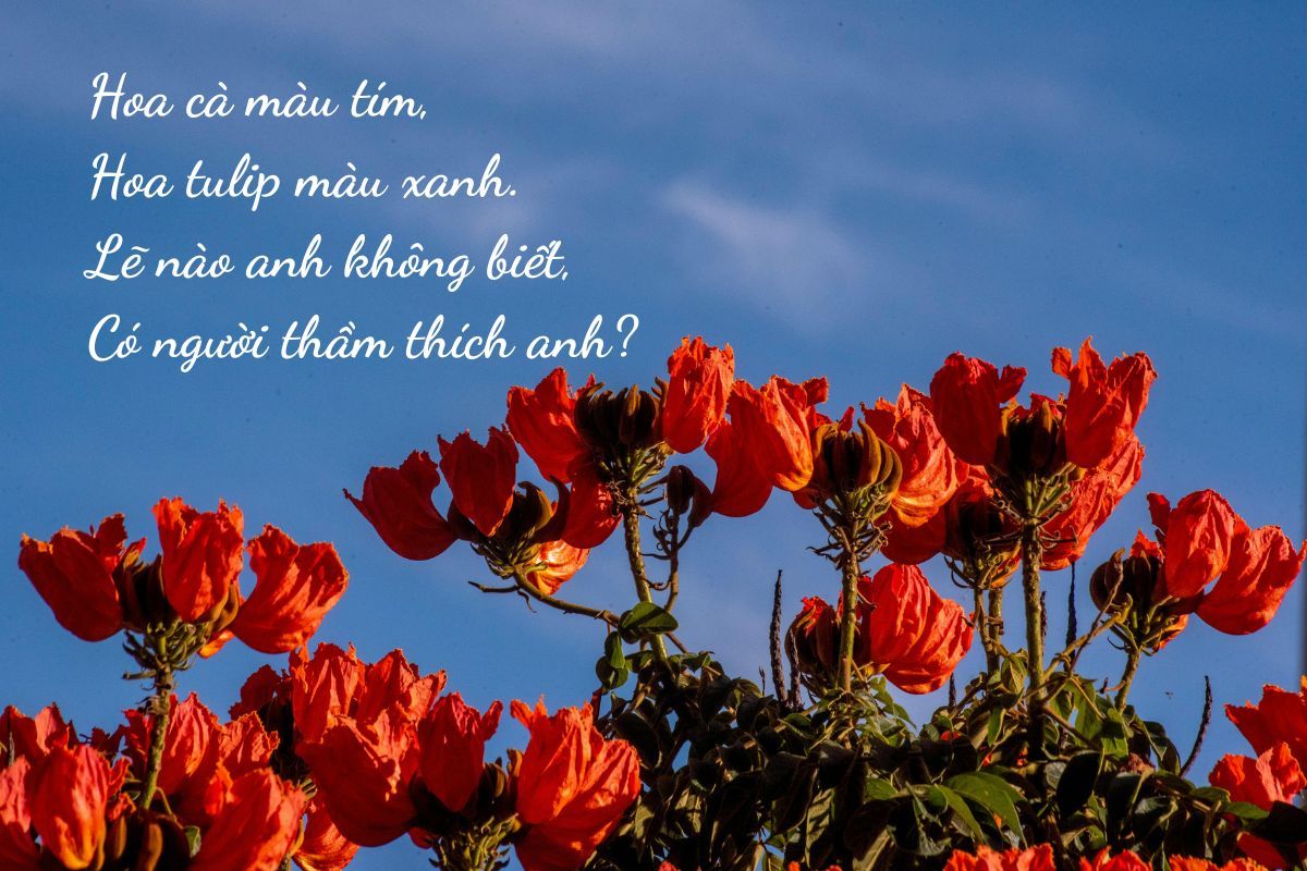 stt thả thính ngắn hay