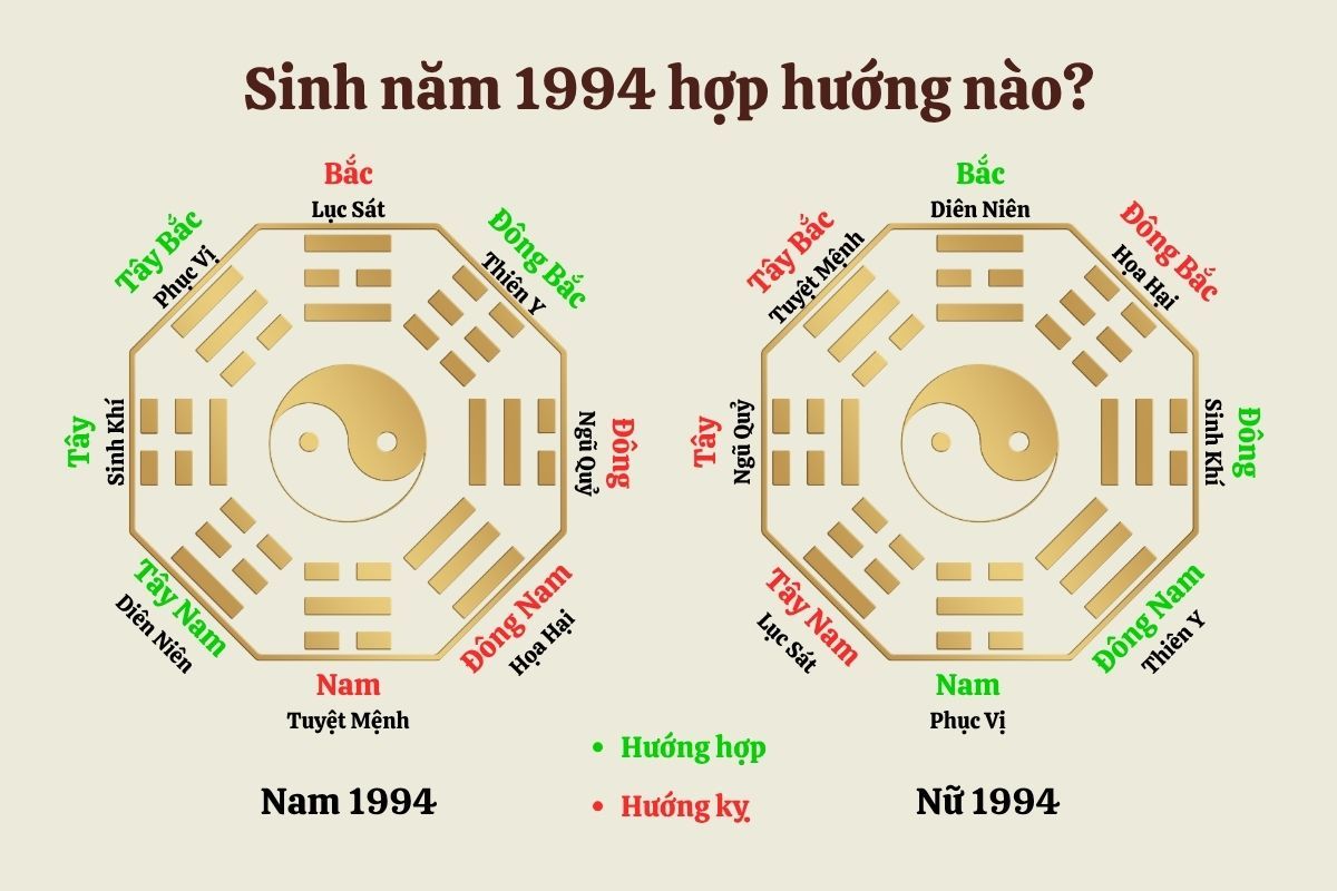 1994 hợp với hướng nào