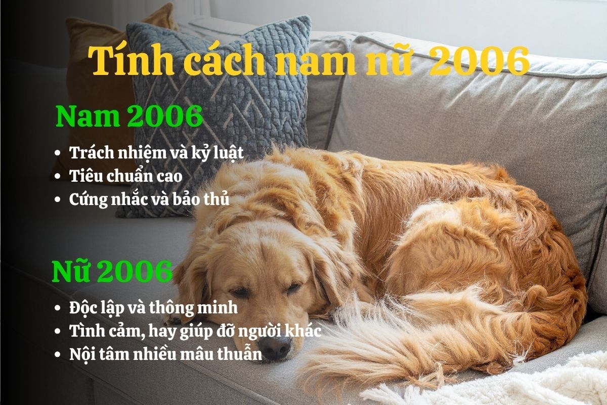 Tuổi Bình Tuất 2006 có tính cách gì