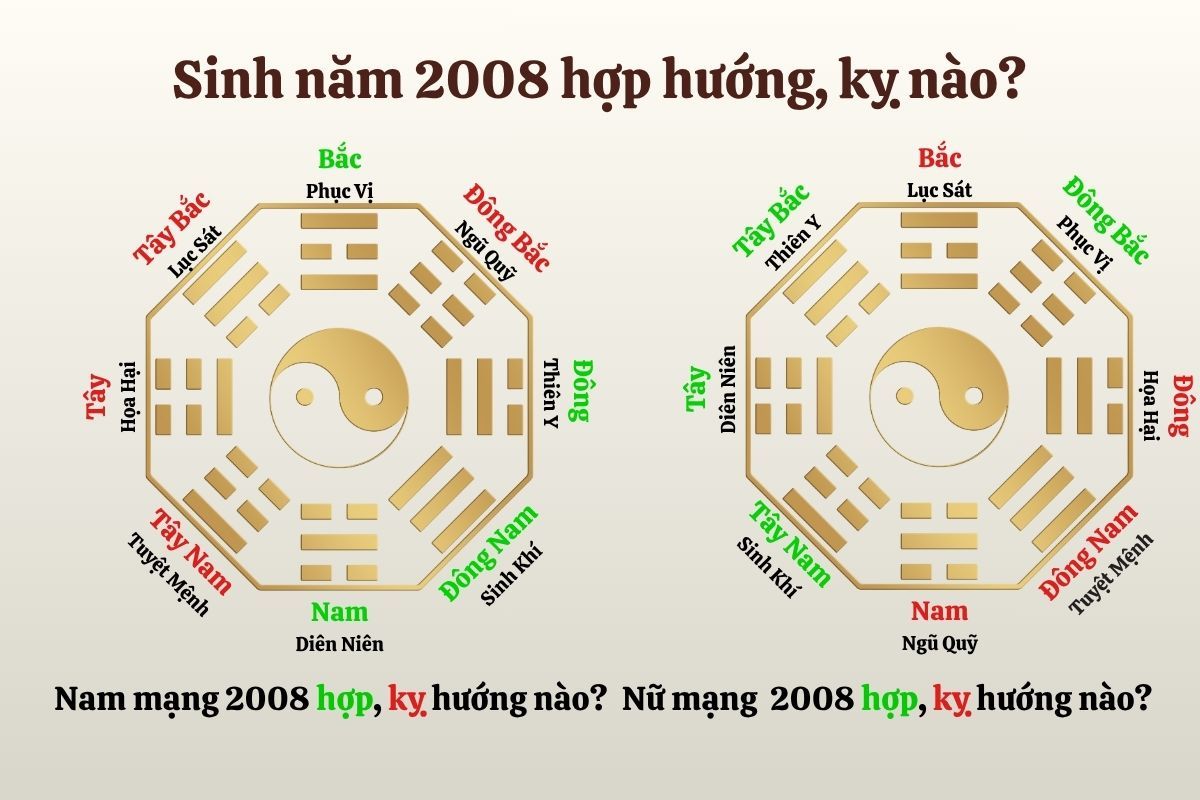 Tuổi tý 2008 hợp và kỵ với hướng nào