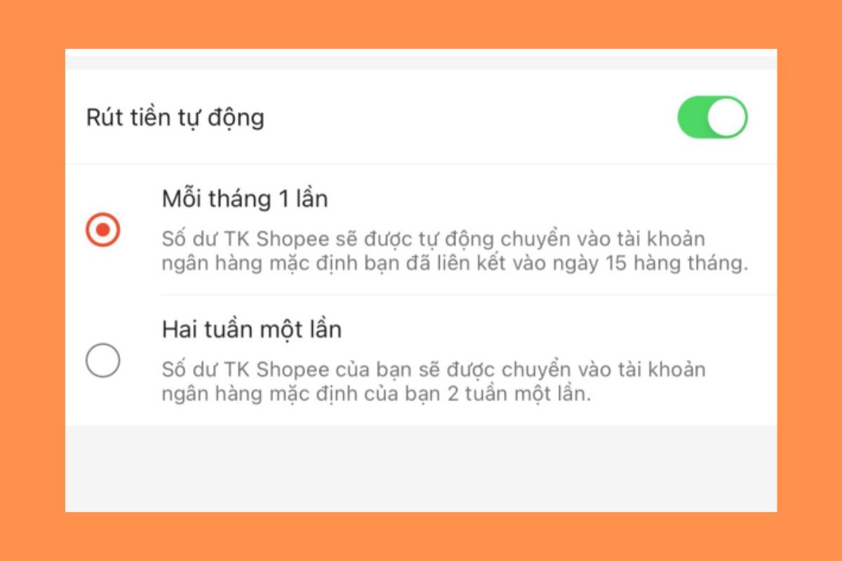 Ví shopee là gì 5