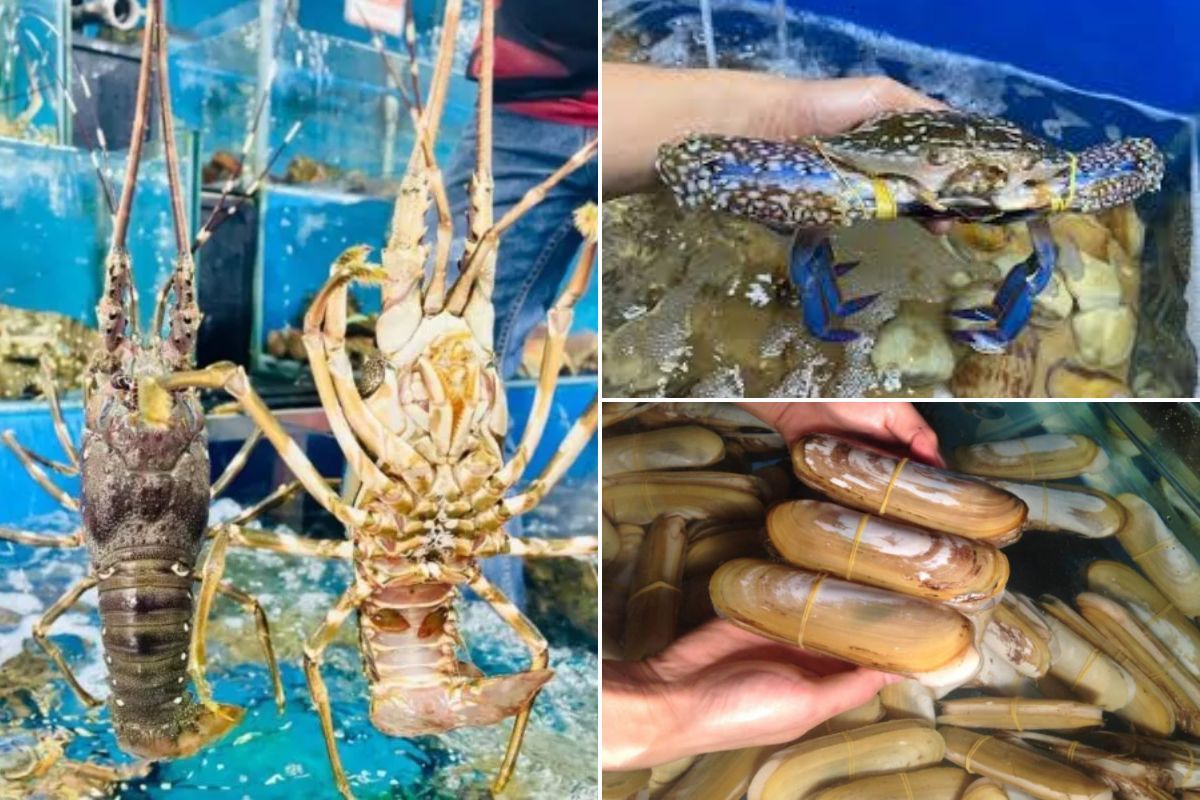 vựa hải sản tại tphcm