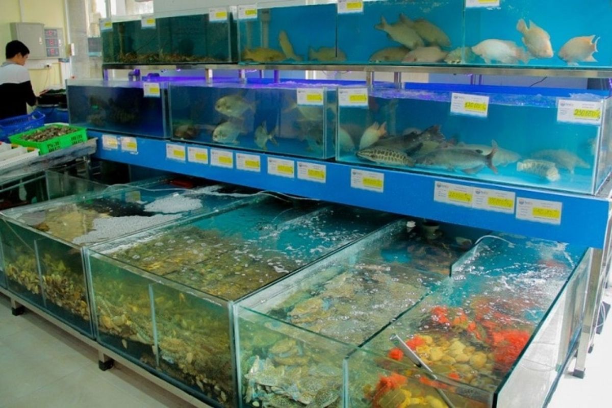 chợ hải sản tươi sống tphcm